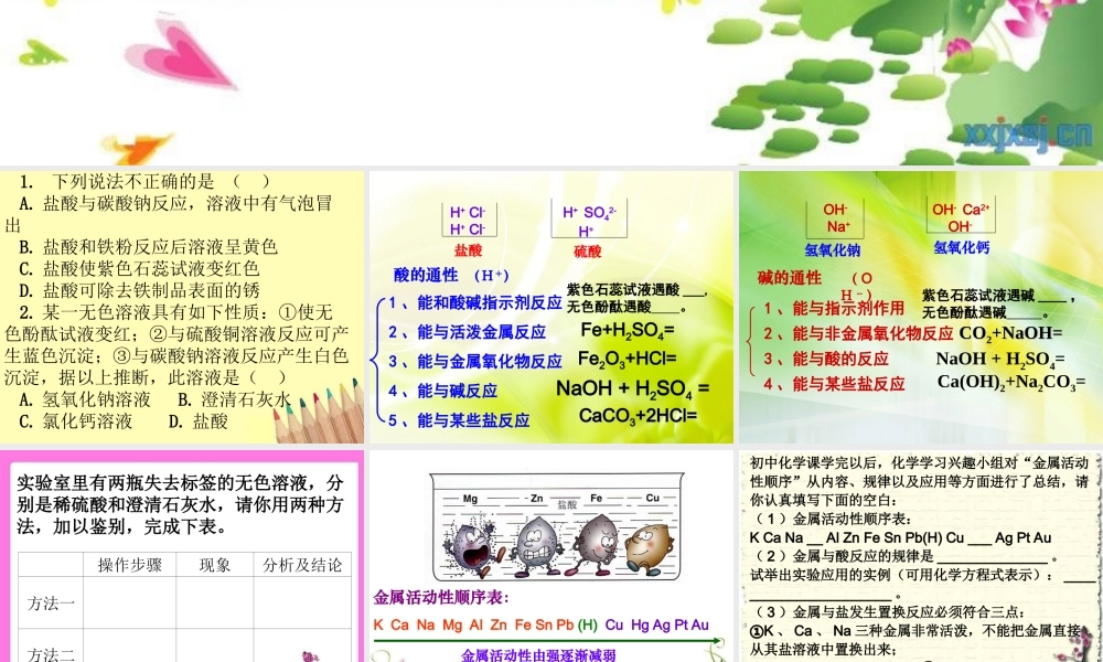 沪教初中化学九下《7第2节 常见的酸和碱》PPT课件 (8).ppt