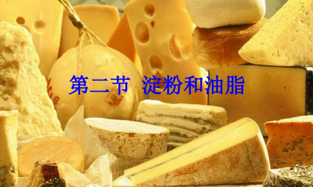 沪教初中化学九下《8第2节 淀粉 油脂》PPT课件 (1).ppt