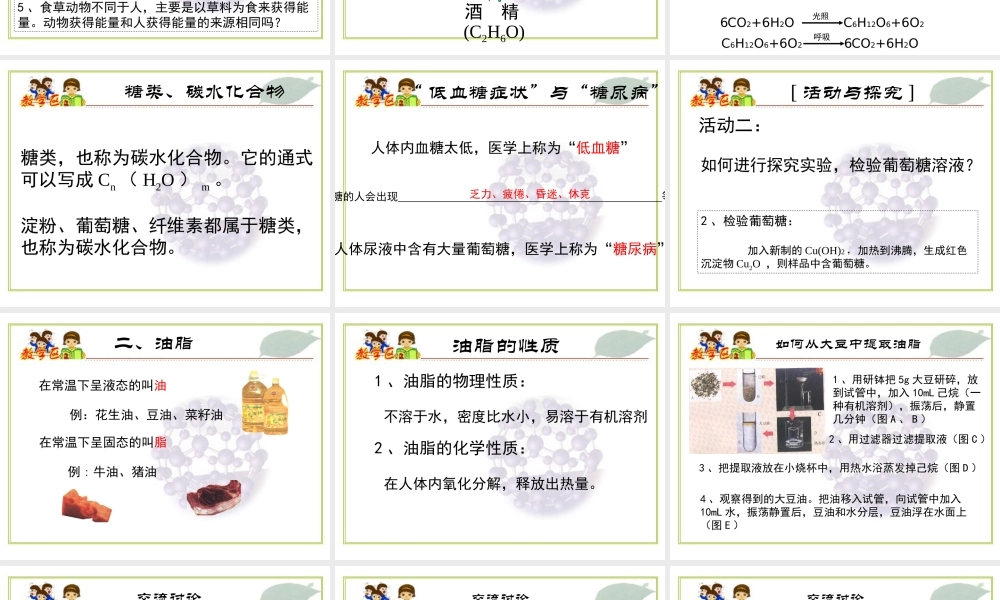 沪教初中化学九下《8第2节 淀粉 油脂》PPT课件 (2).ppt