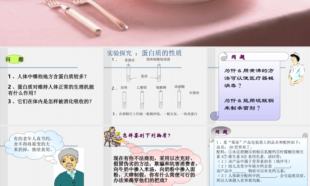 沪教初中化学九下《8第3节 蛋白质 维生素》PPT课件 (9).ppt