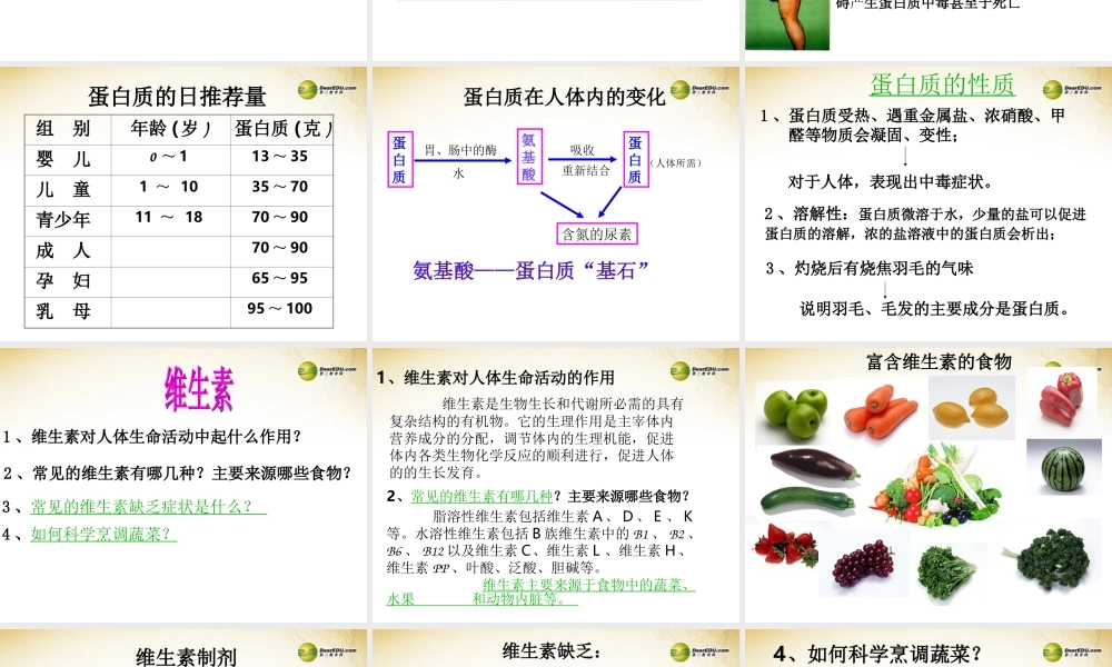 沪教初中化学九下《8第3节 蛋白质 维生素》PPT课件 (8).ppt