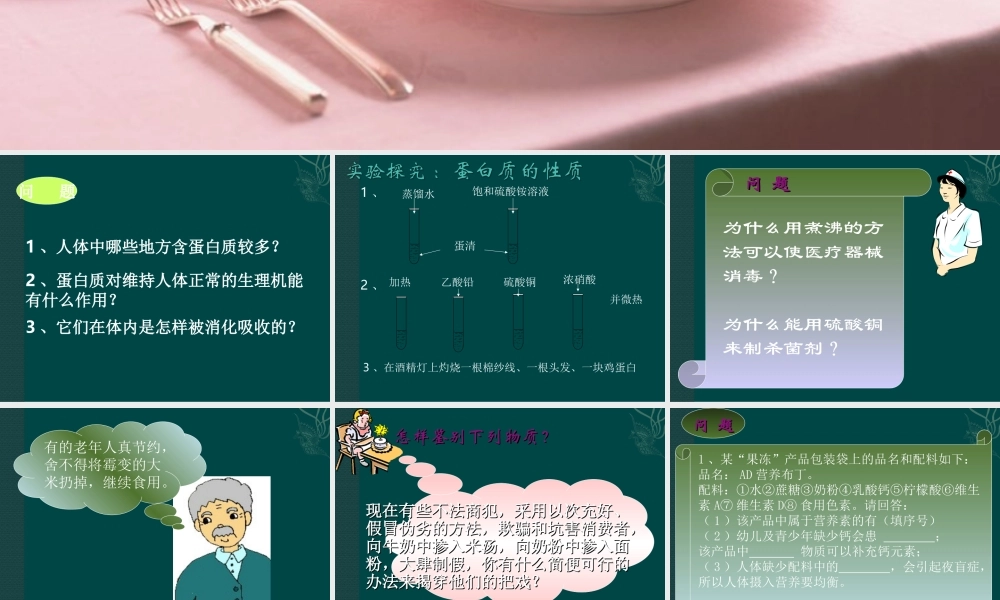 沪教初中化学九下《8第3节 蛋白质 维生素》PPT课件 (2).ppt