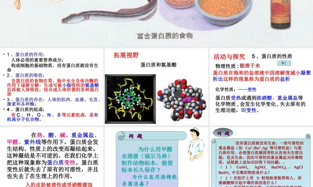 沪教初中化学九下《8第3节 蛋白质 维生素》PPT课件 (6).ppt