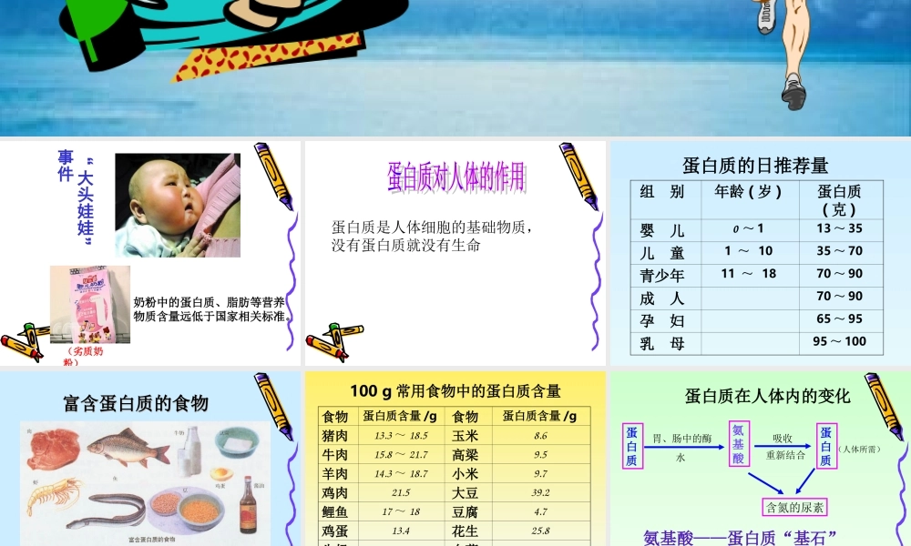 沪教初中化学九下《8第3节 蛋白质 维生素》PPT课件 (1).ppt