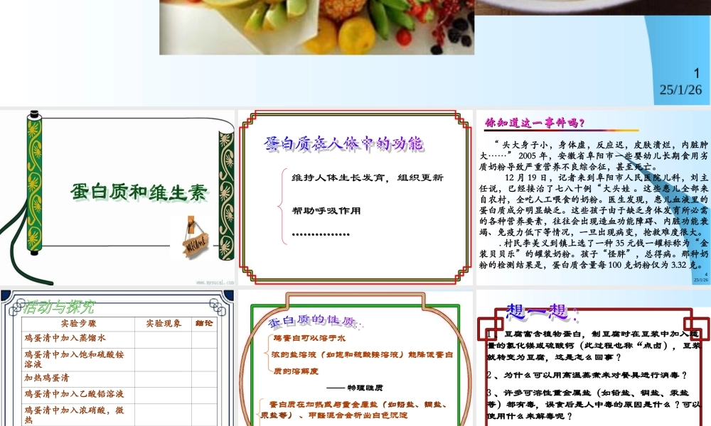 沪教初中化学九下《8第3节 蛋白质 维生素》PPT课件 (5).ppt