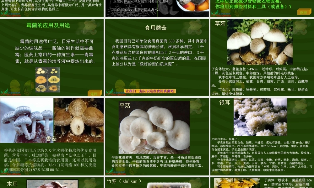 冀教小学科学六上册《6生活中的真菌》PPT课件 (1).ppt