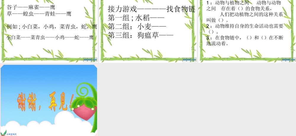 冀教小学科学六上册《10动物与能量》PPT课件2.ppt