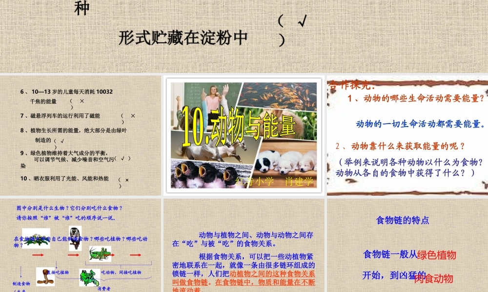 冀教小学科学六上册《10动物与能量》PPT课件.ppt