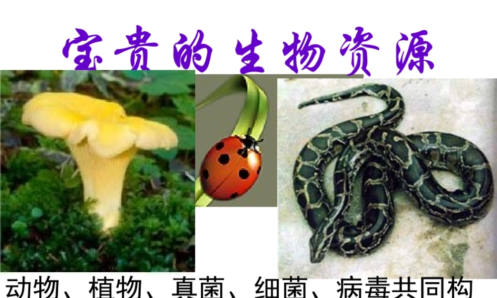 冀教小学科学六上册《7宝贵的生物资源》PPT课件.ppt