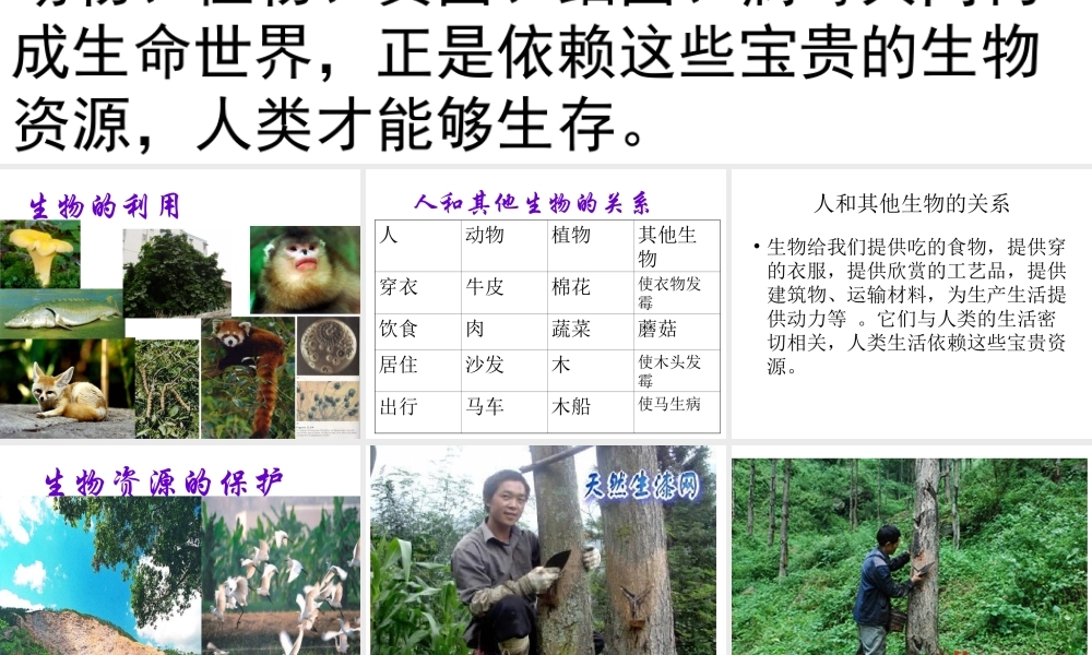 冀教小学科学六上册《7宝贵的生物资源》PPT课件.ppt