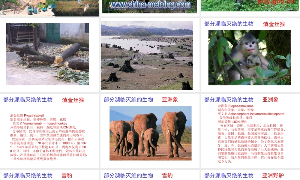 冀教小学科学六上册《7宝贵的生物资源》PPT课件.ppt