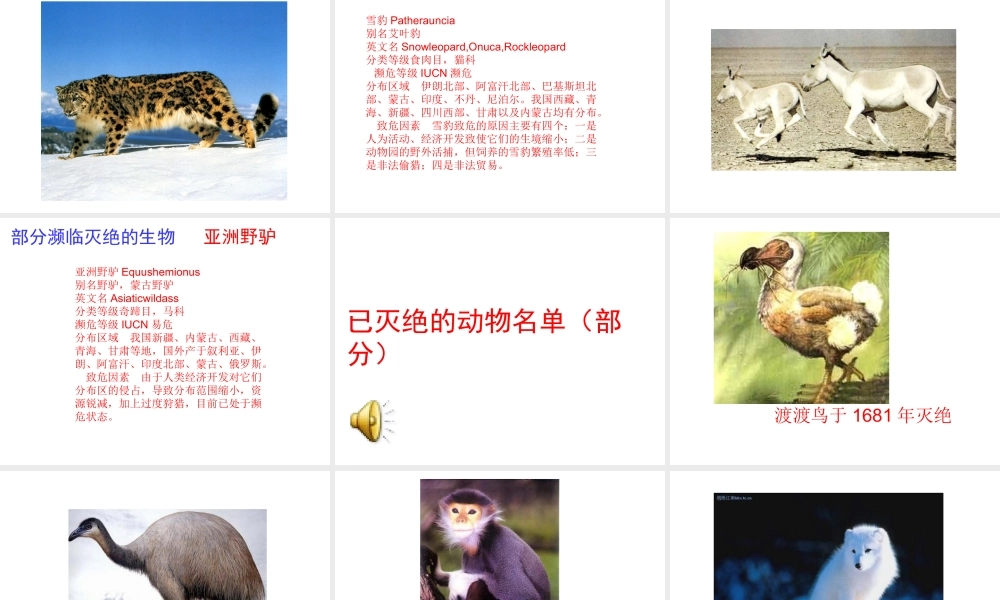 冀教小学科学六上册《7宝贵的生物资源》PPT课件.ppt