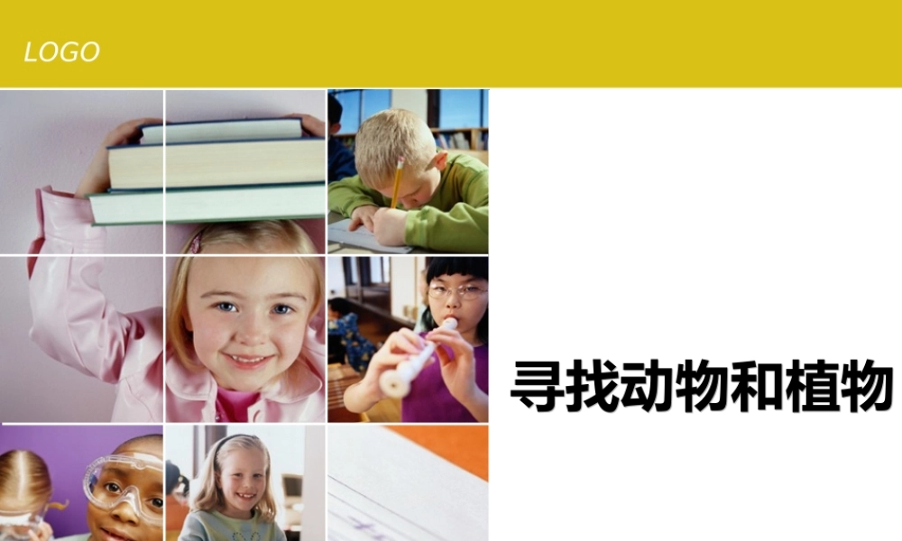 冀教小学科学三上册《3寻找动物和植物》PPT课件.ppt
