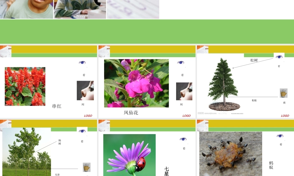 冀教小学科学三上册《3寻找动物和植物》PPT课件.ppt