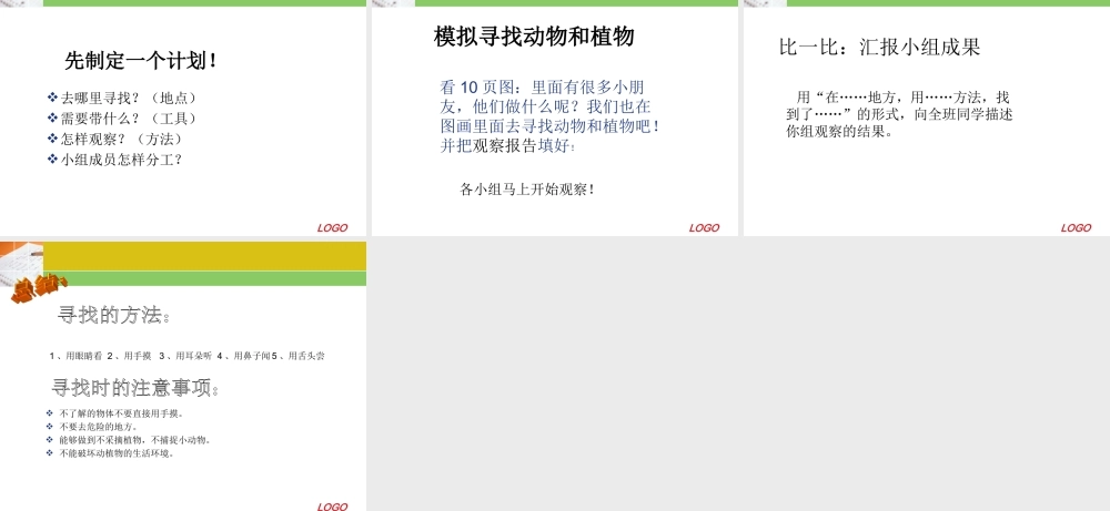 冀教小学科学三上册《3寻找动物和植物》PPT课件.ppt