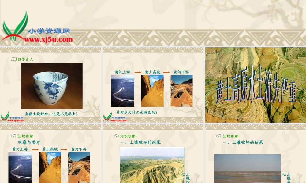 冀教小学科学三上册《7土壤的保护》PPT课件 (2).ppt