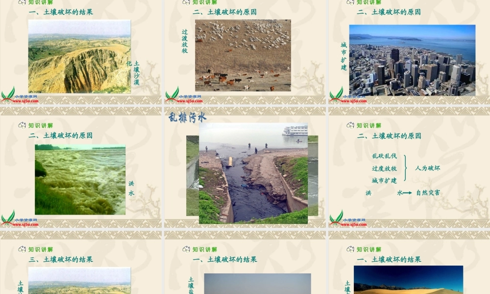 冀教小学科学三上册《7土壤的保护》PPT课件 (2).ppt