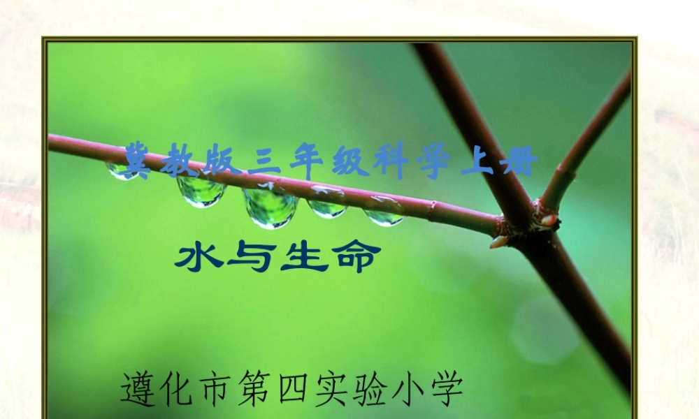 冀教小学科学三上册《8水与生命》PPT课件.ppt