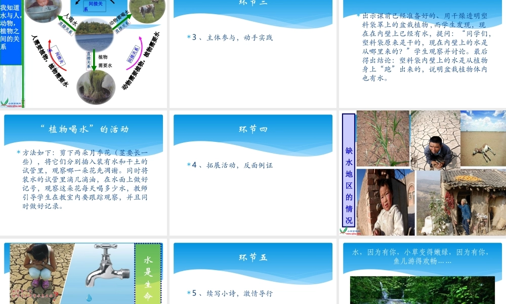 冀教小学科学三上册《8水与生命》PPT课件.ppt