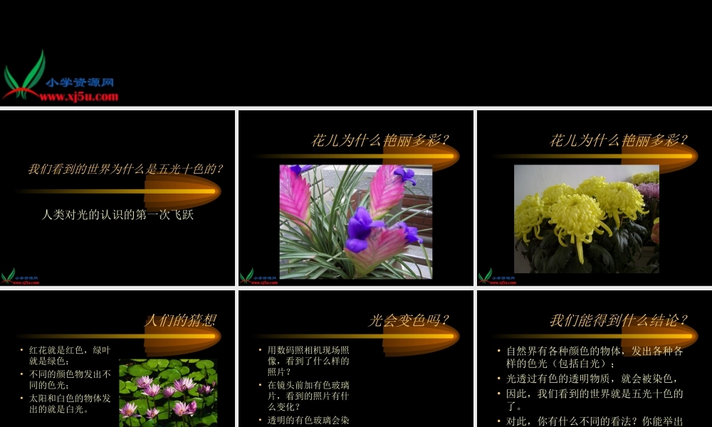 冀教小学科学三下册优质公开课《8透明与不透明 》PTT课件 (2).ppt