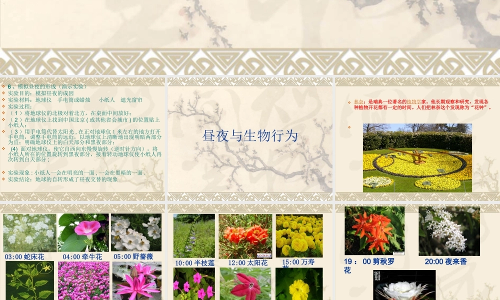 冀教小学科学四上册《15昼夜与生物行为》PPT课件.ppt