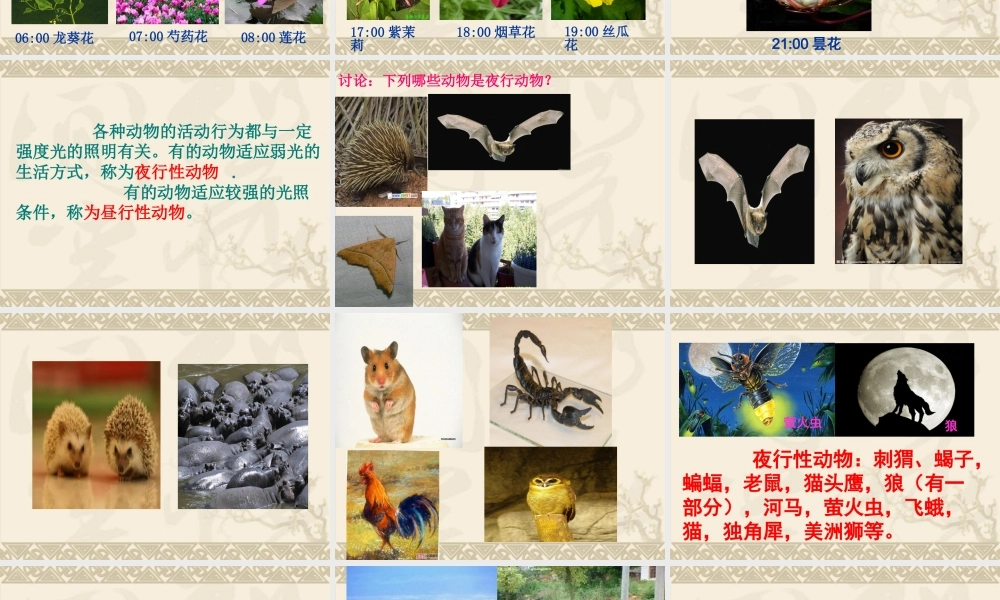 冀教小学科学四上册《15昼夜与生物行为》PPT课件.ppt