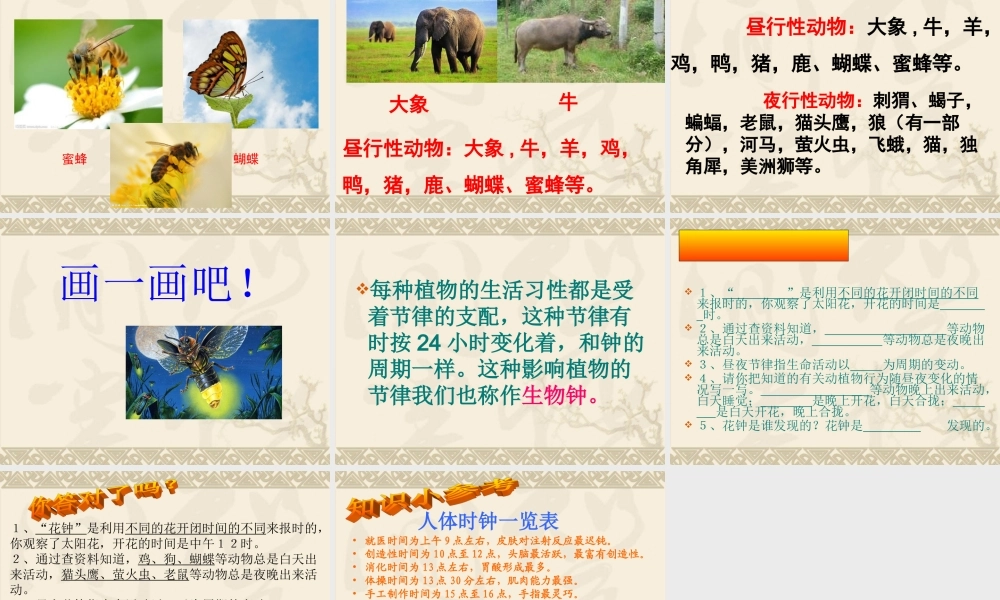 冀教小学科学四上册《15昼夜与生物行为》PPT课件.ppt