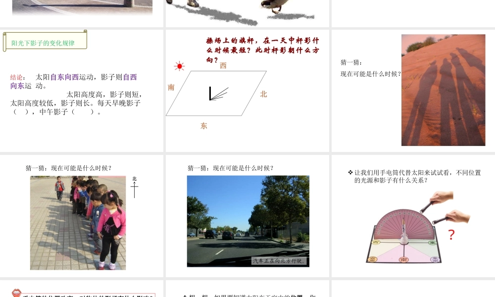 冀教小学科学四上册《13太阳和影子》PPT课件.ppt