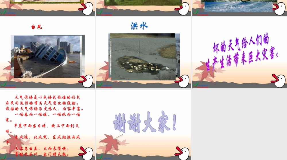 冀教小学科学四下册《5天气与生活 》PPT课件 (1).ppt