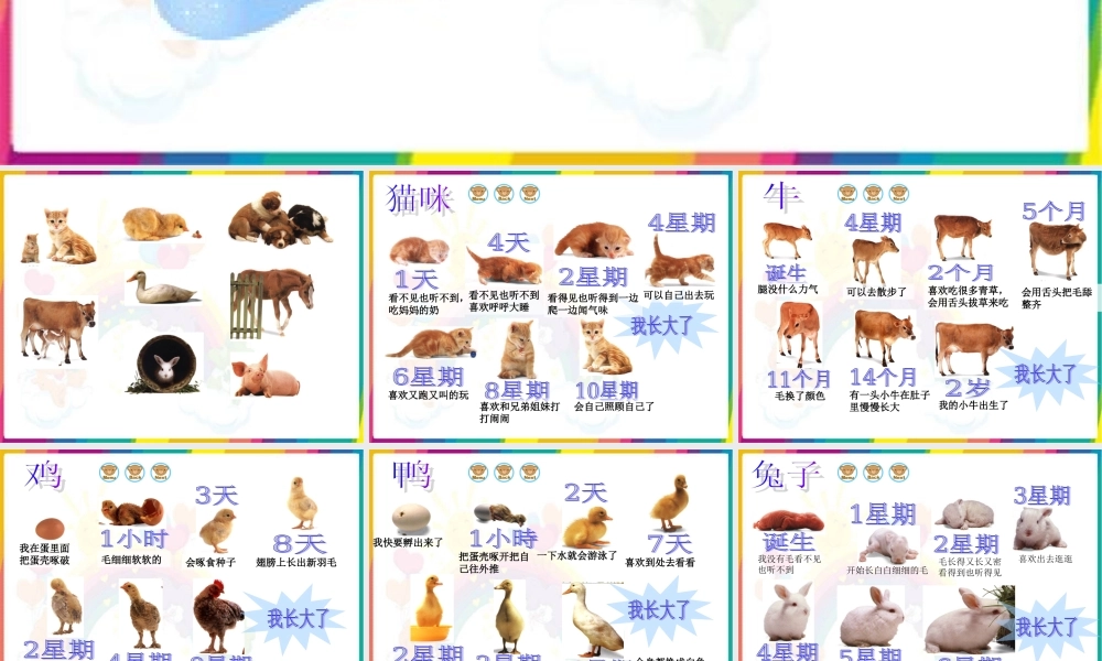 冀教小学科学四下册《14小动物的生长 》PPT课件 (2).ppt