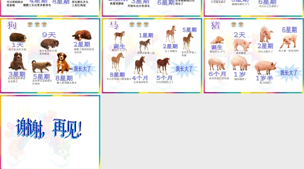 冀教小学科学四下册《14小动物的生长 》PPT课件 (2).ppt