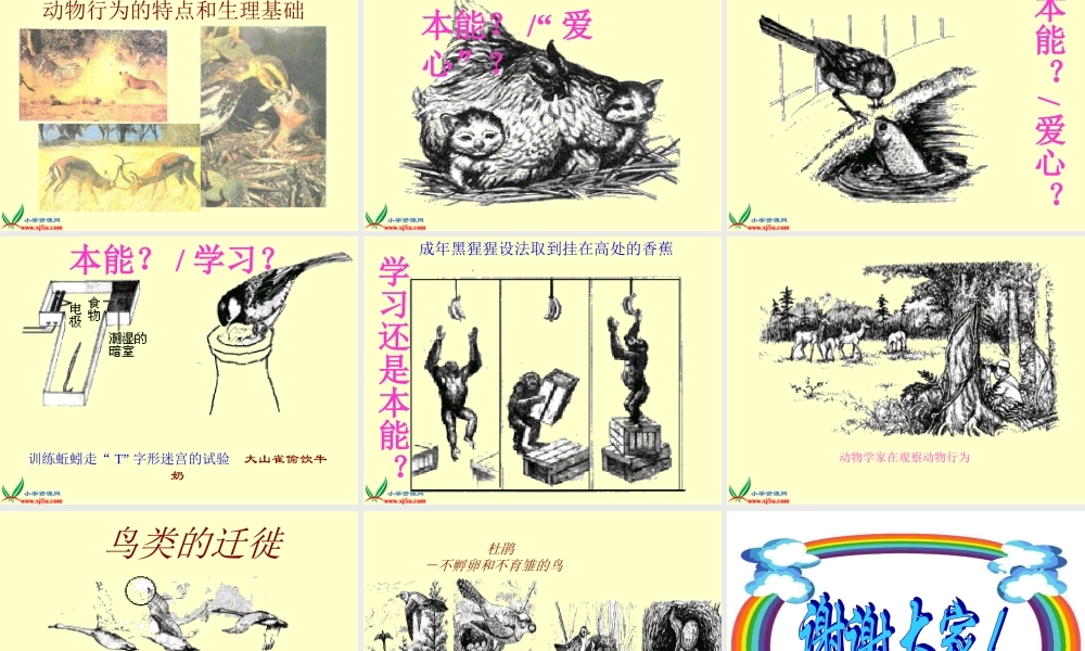 冀教小学科学四下册《10周围的生物 》PPT课件.ppt