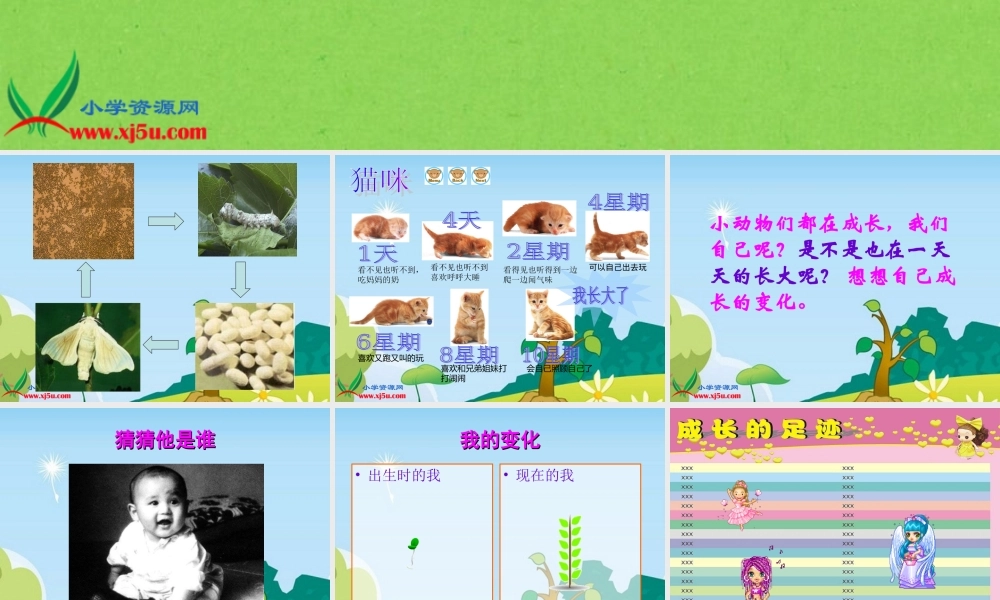 冀教小学科学四下册《16我在长大 》PPT课件 (1).ppt