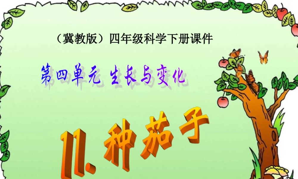 冀教小学科学四下册《11种茄子 》PPT课件.ppt