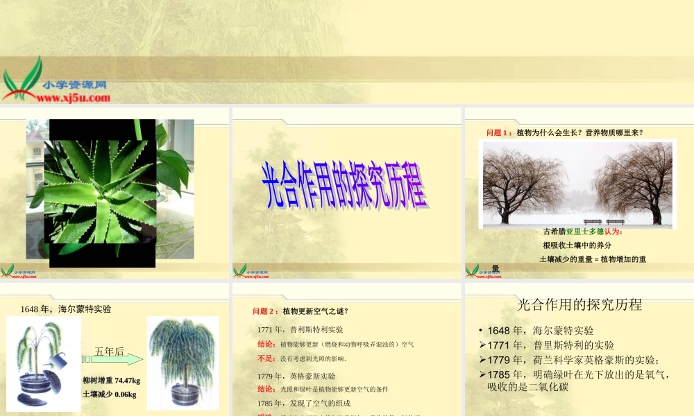 冀教小学科学四下册《12植物的生长 》PPT课件.ppt