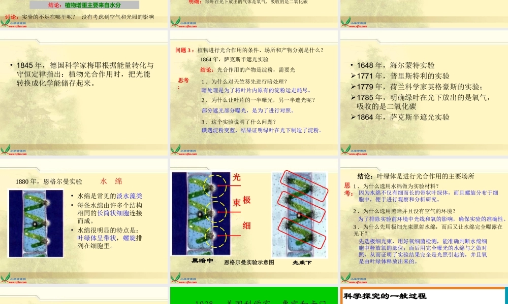 冀教小学科学四下册《12植物的生长 》PPT课件.ppt