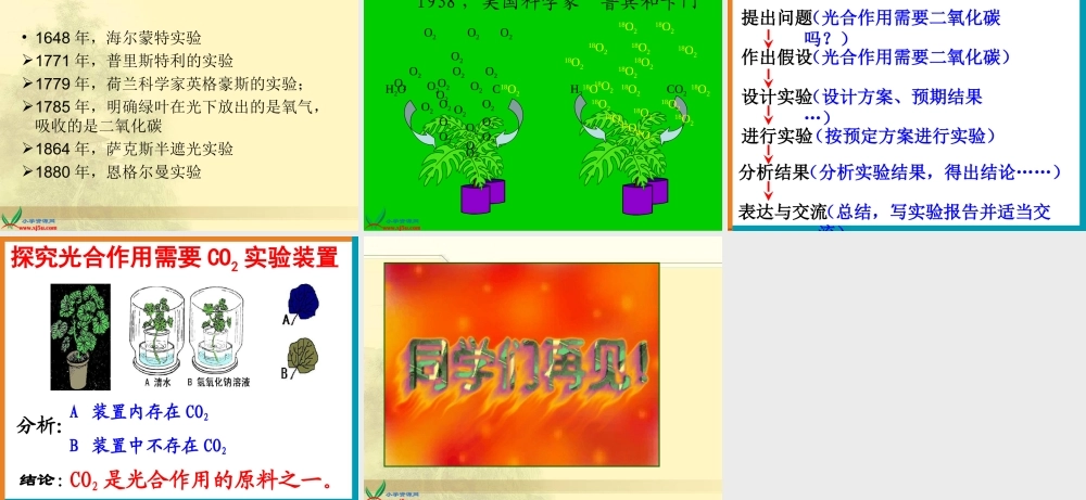 冀教小学科学四下册《12植物的生长 》PPT课件.ppt