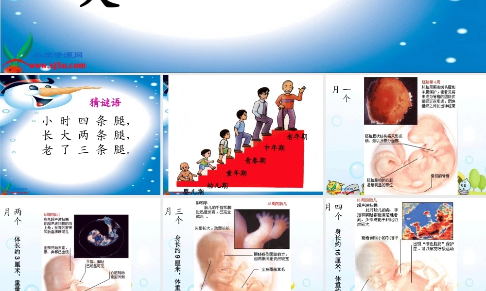 冀教小学科学四下册《16我在长大 》PPT课件 (2).ppt