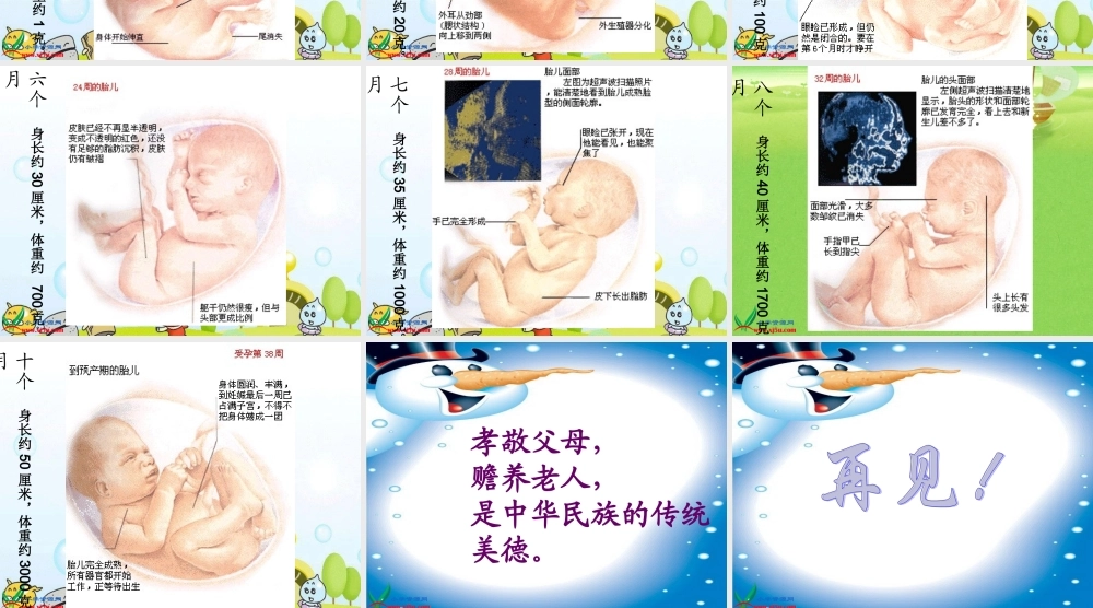 冀教小学科学四下册《16我在长大 》PPT课件 (2).ppt