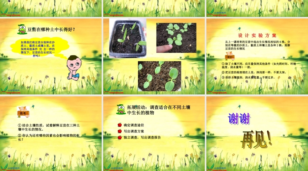 冀教小学科学五上册《2土壤与植物的生长 》PPT课件.ppt