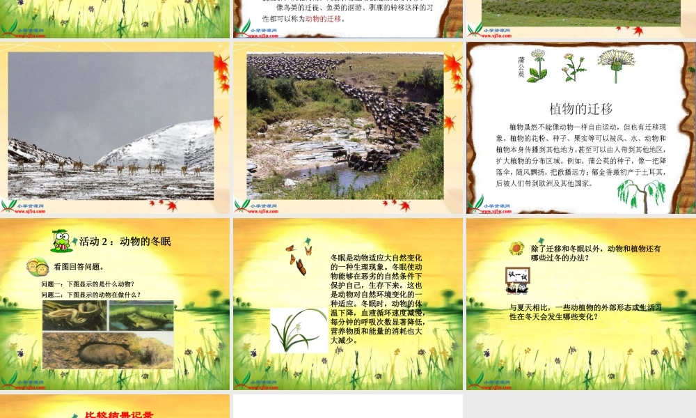 冀教小学科学五上册《7燕子南飞 》PPT课件.ppt