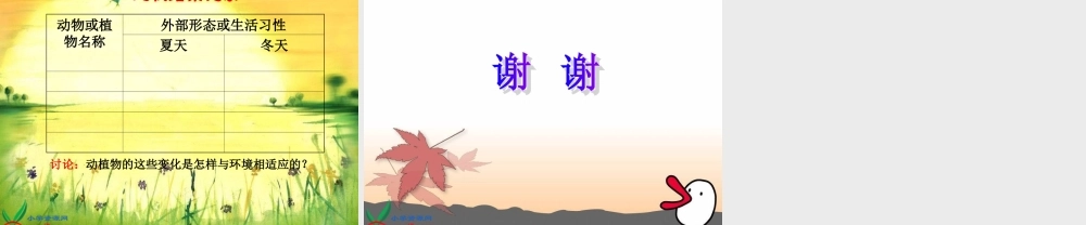 冀教小学科学五上册《7燕子南飞 》PPT课件.ppt