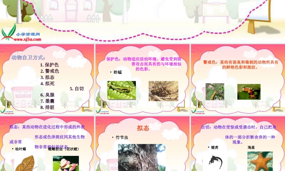 冀教小学科学五上册《9奇妙的护身术 》PPT课件 (2).ppt