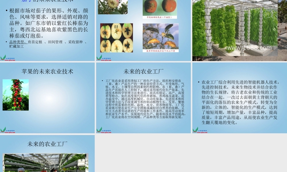 冀教小学科学四下册《24未来农业 》PPT课件.ppt
