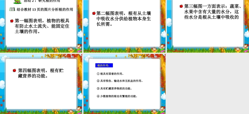 冀教小学科学五上册《4根与茎 》PPT课件.ppt