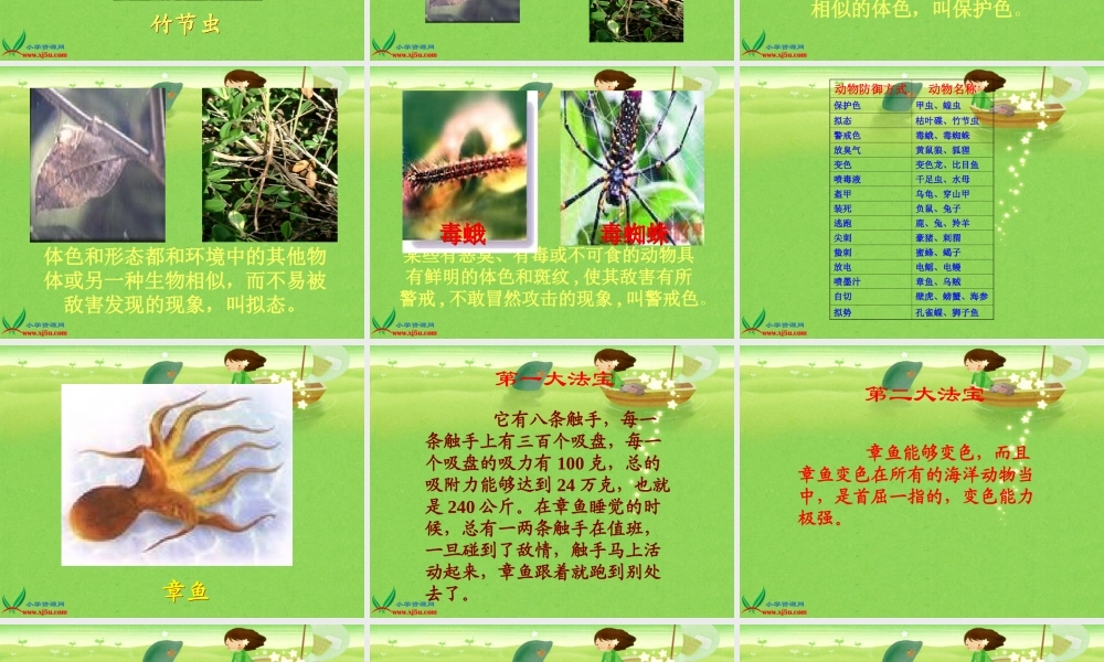 冀教小学科学五上册《9奇妙的护身术 》PPT课件 (1).ppt