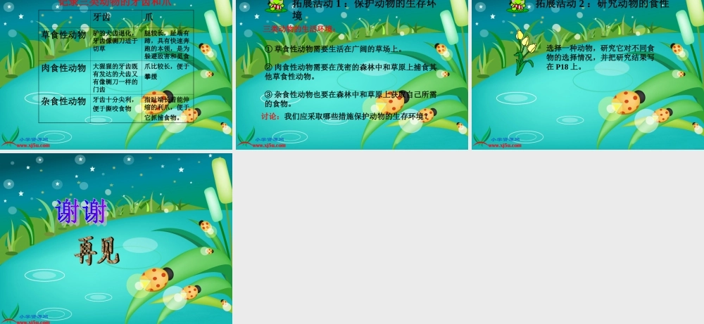 冀教小学科学五上册《5动物的食物 》PPT课件.ppt