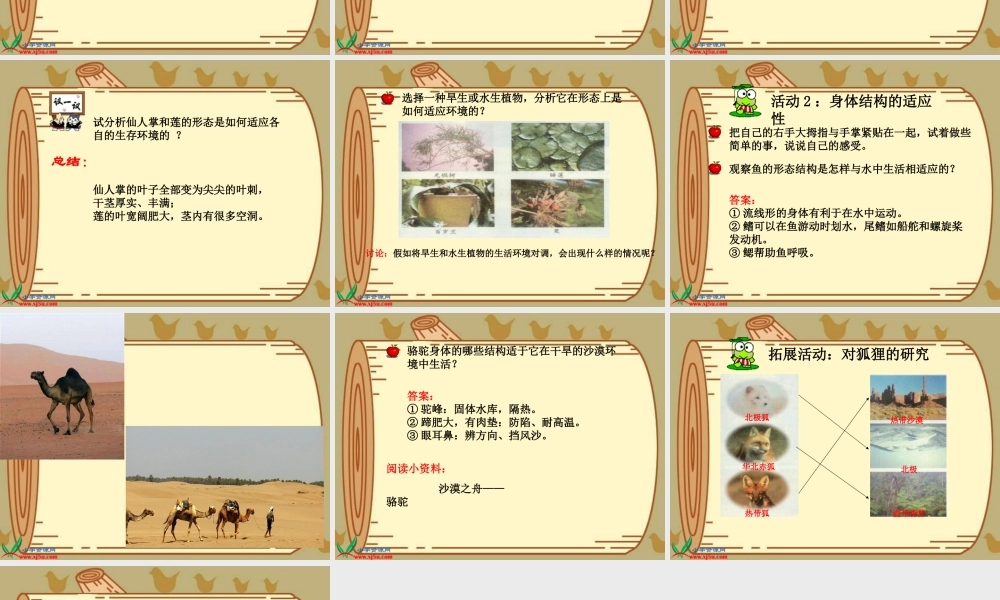 冀教小学科学五上册《8仙人掌的刺 》PPT课件.ppt