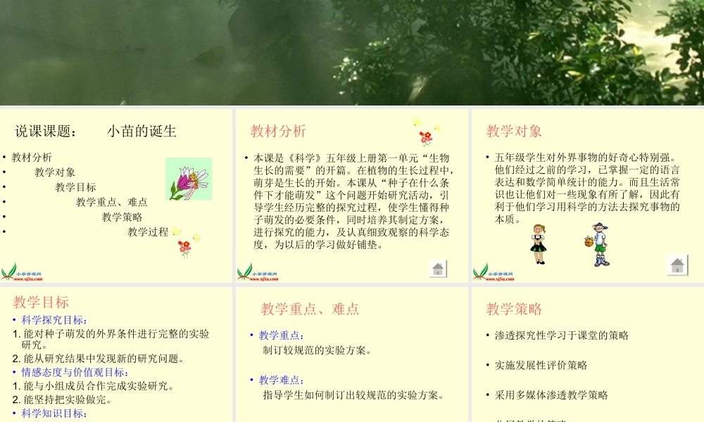 冀教小学科学五上册《1小苗的诞生 》PPT课件.ppt