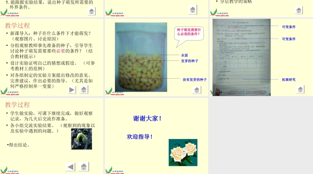 冀教小学科学五上册《1小苗的诞生 》PPT课件.ppt